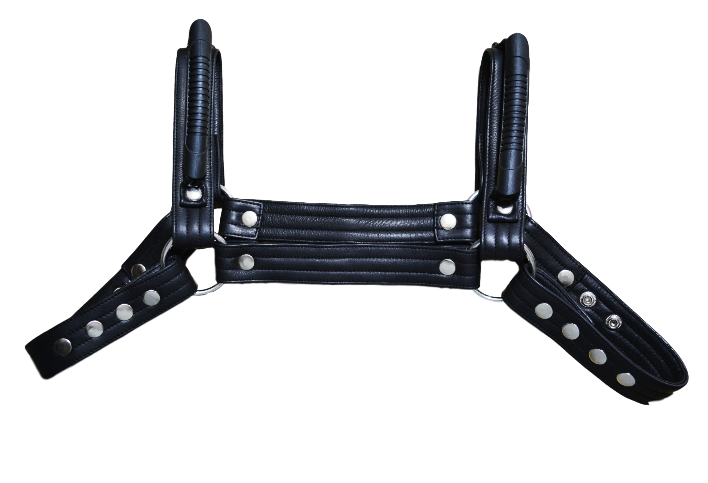 Chest Handler Harness